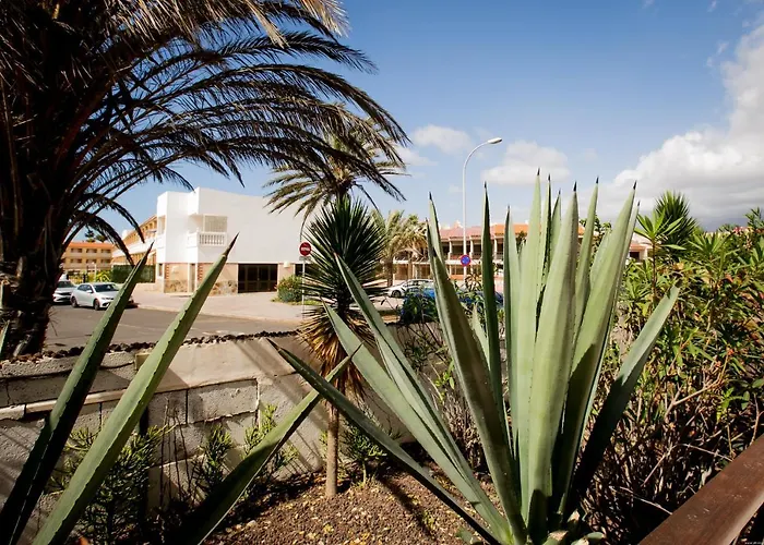 10a Amarilla Bay Pool Smart Tv Wi Fi Lejlighed